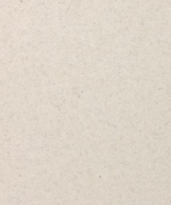 STARON AS644 ASPEN STUCCO